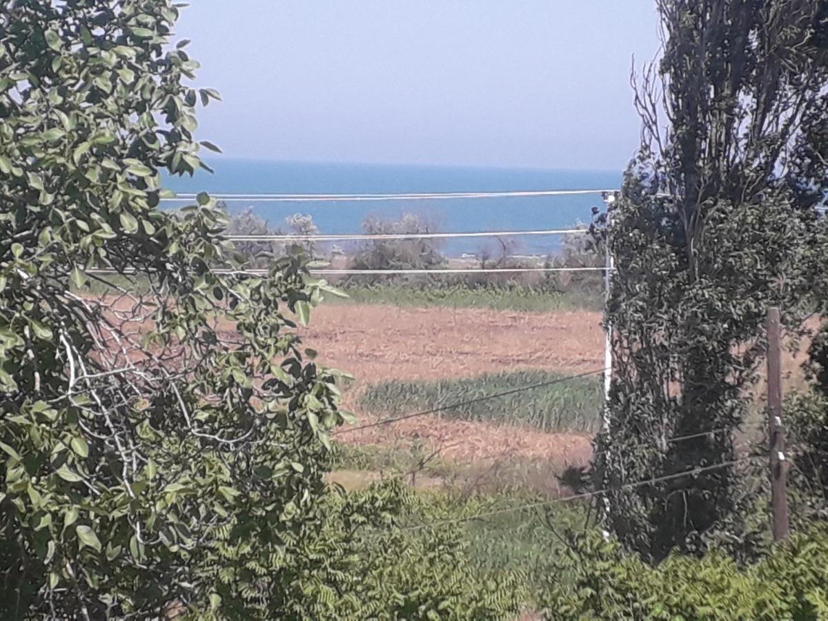 مبيت وإفطار نابران Rey 2 المظهر الخارجي الصورة